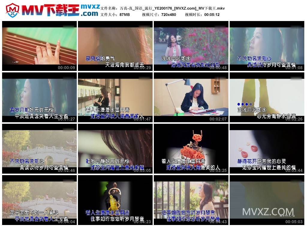 万真-真_国语_流行_YE200176